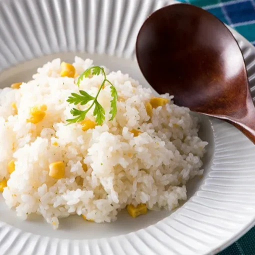 Clearance Japanese Garlic Salt Kuze Fuku
