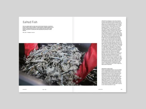 New Magazine F #27 Fish Arts & Fashion