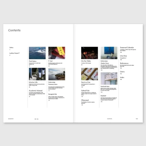 New Magazine F #27 Fish Arts & Fashion