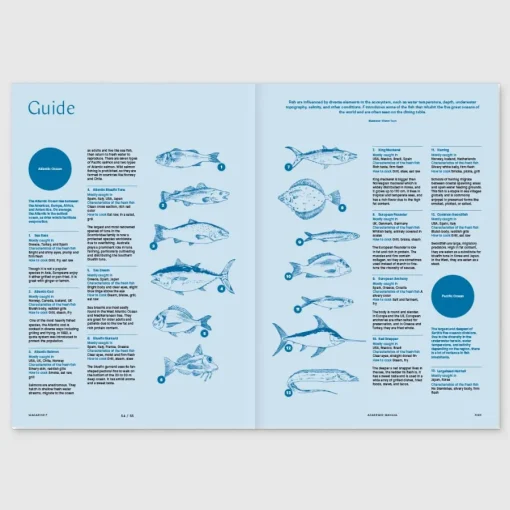 New Magazine F #27 Fish Arts & Fashion