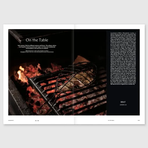 New Magazine F #27 Fish Arts & Fashion